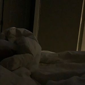 Meet your Posher, Ekram